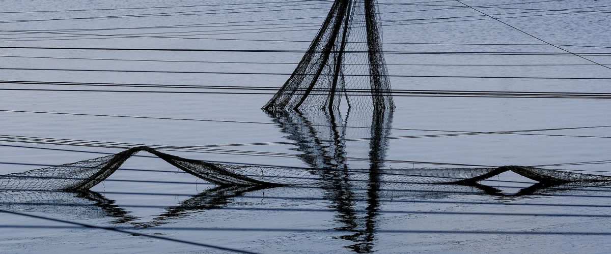 Abstract views of protective nets against birds on fish ponds.