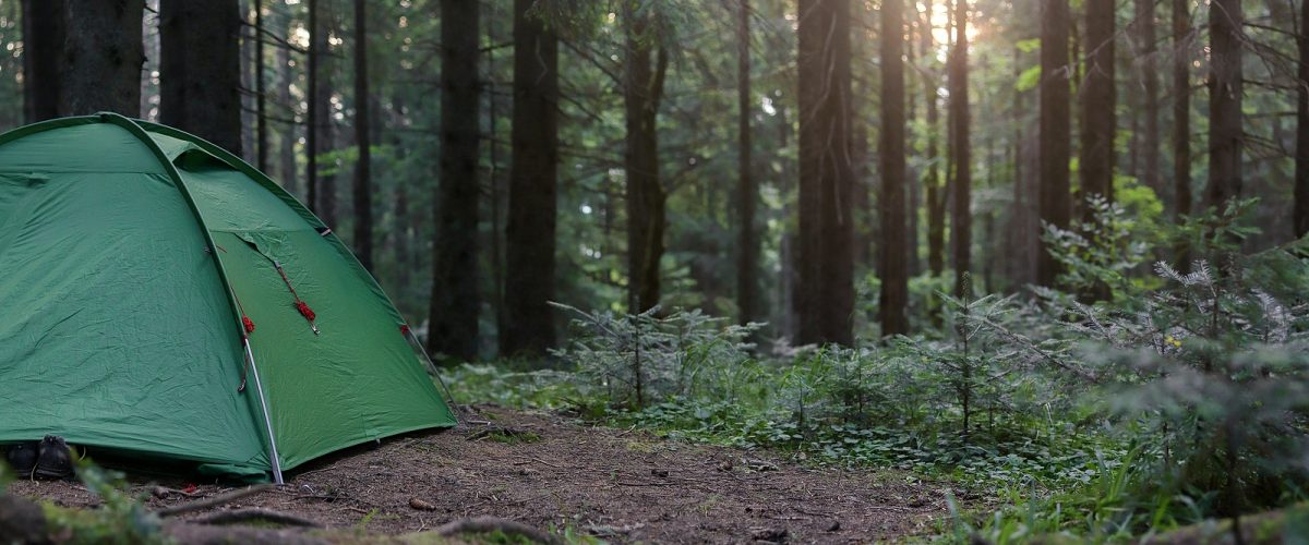 Tourist green tent in forest  at campsite on sunset. Camping background. Panoramic view of campsite  in dusk forest. Camping in nature park in summer. Adventure travel active lifestyle. Shallow DOF.